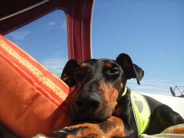 Auf See zwischen Großenbrode u. Damp