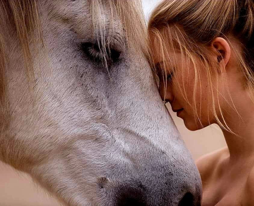 Découvrez Sophro Cavaliers : Allier Sophrologie et Équitation pour une Meilleure Performance
