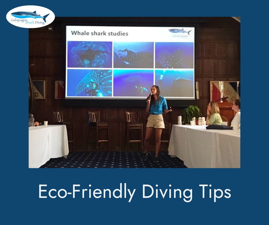 Eco-Friendly Diving Tips
