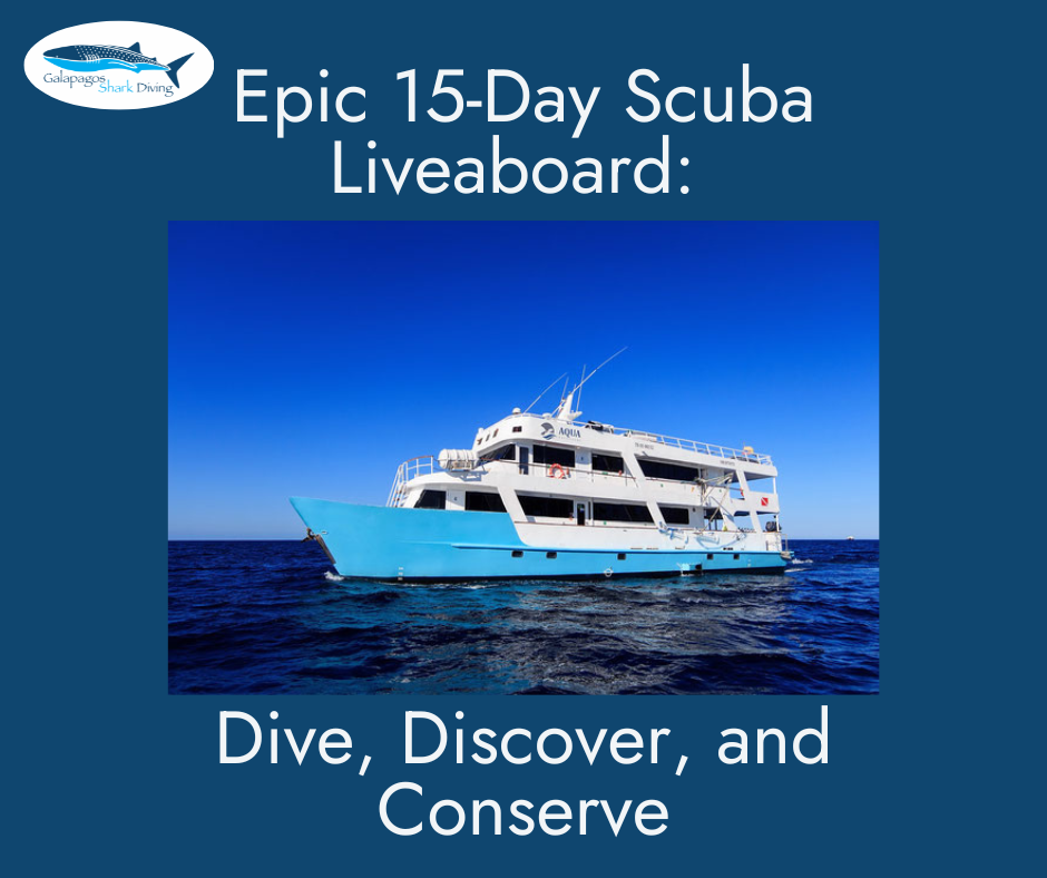 Epic 15-Day Scuba Eco-Liveaboard