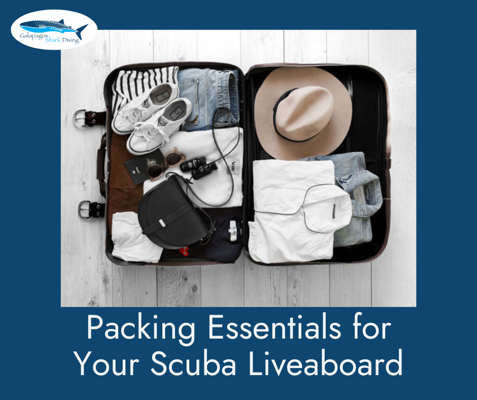 Packing Essentials for Your Scuba Liveaboard