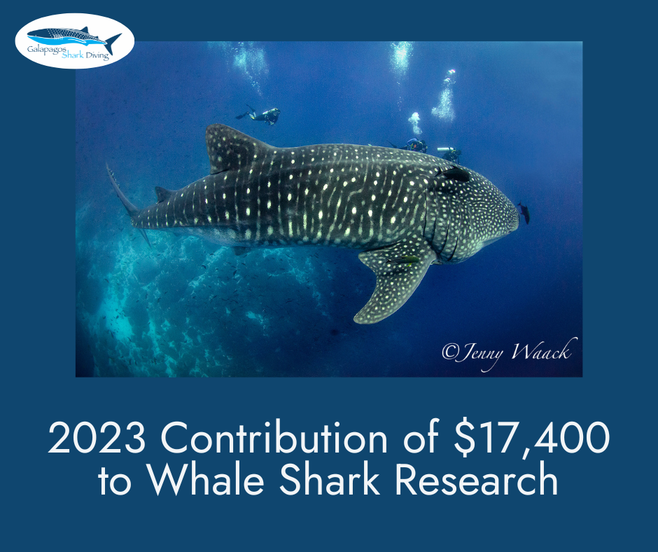 2023 Contribution Marine Research