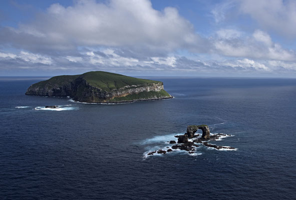 Why Wolf & Darwin Offer the Best Diving in the World