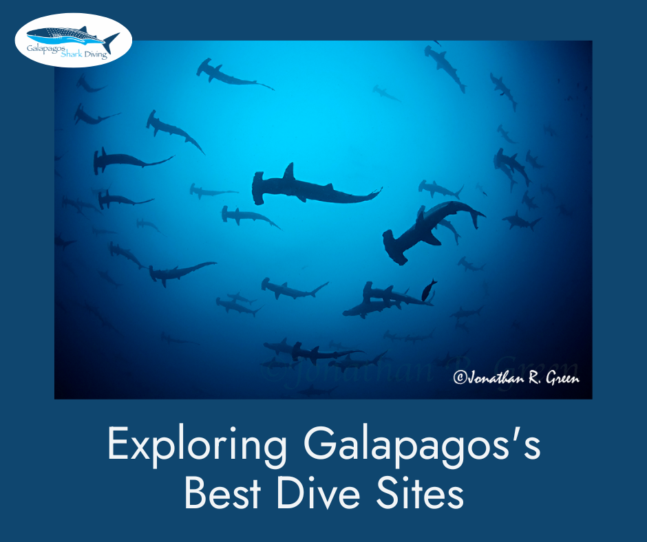 Galapagos's Best Dive Sites