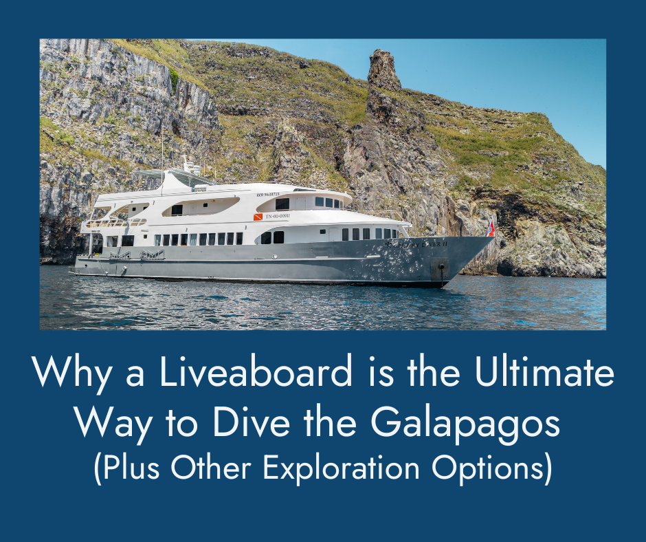 Why a Liveaboard is the Best Way to Explore the Galapagos