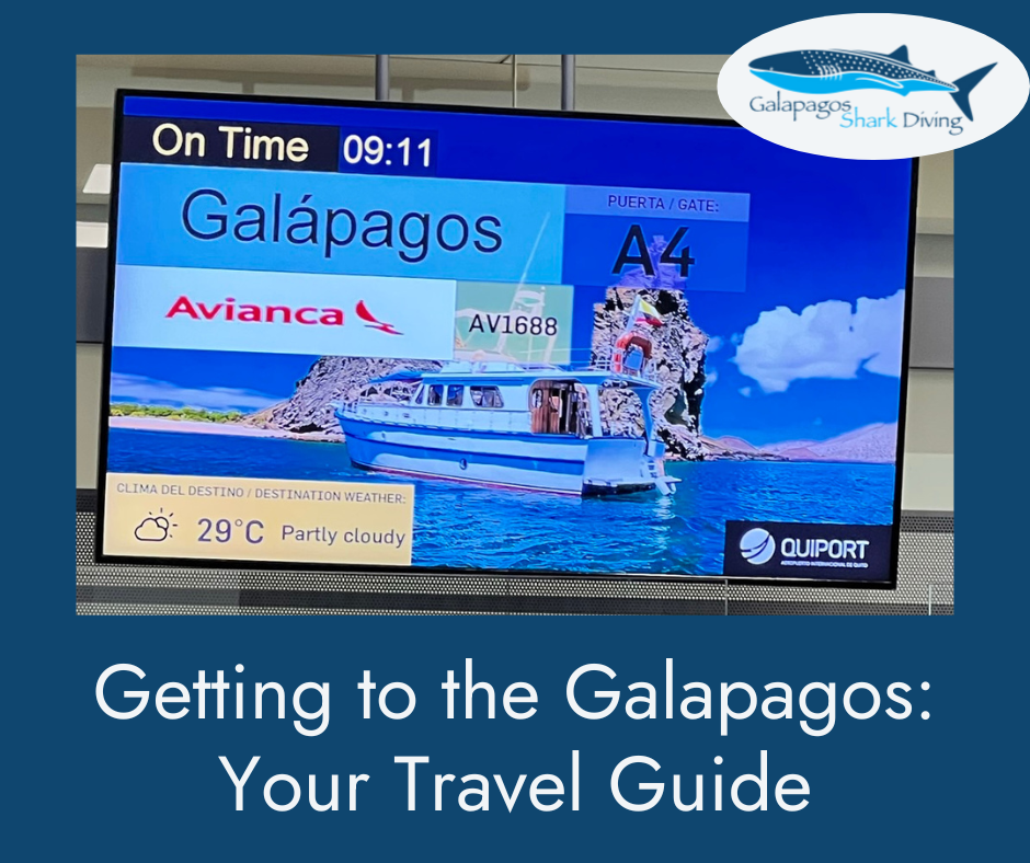Galapagos Liveaboard Travel Guide 2025: How to Get There & Plan Your Trip