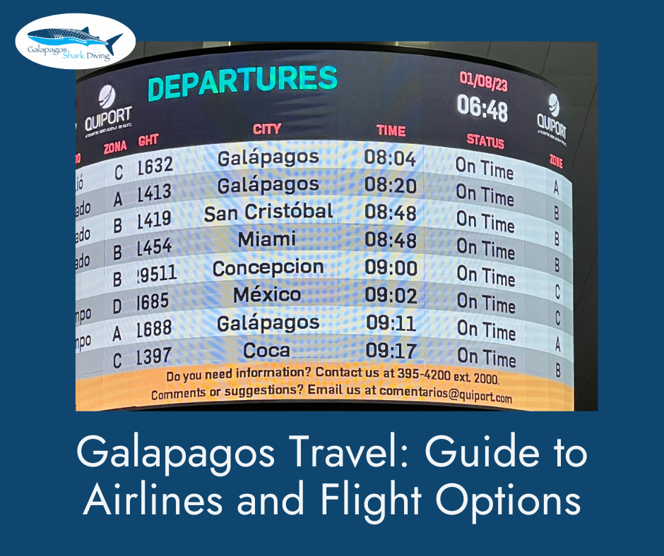 Guide to Flights to the Galapagos Islands: Best Airlines & Routes