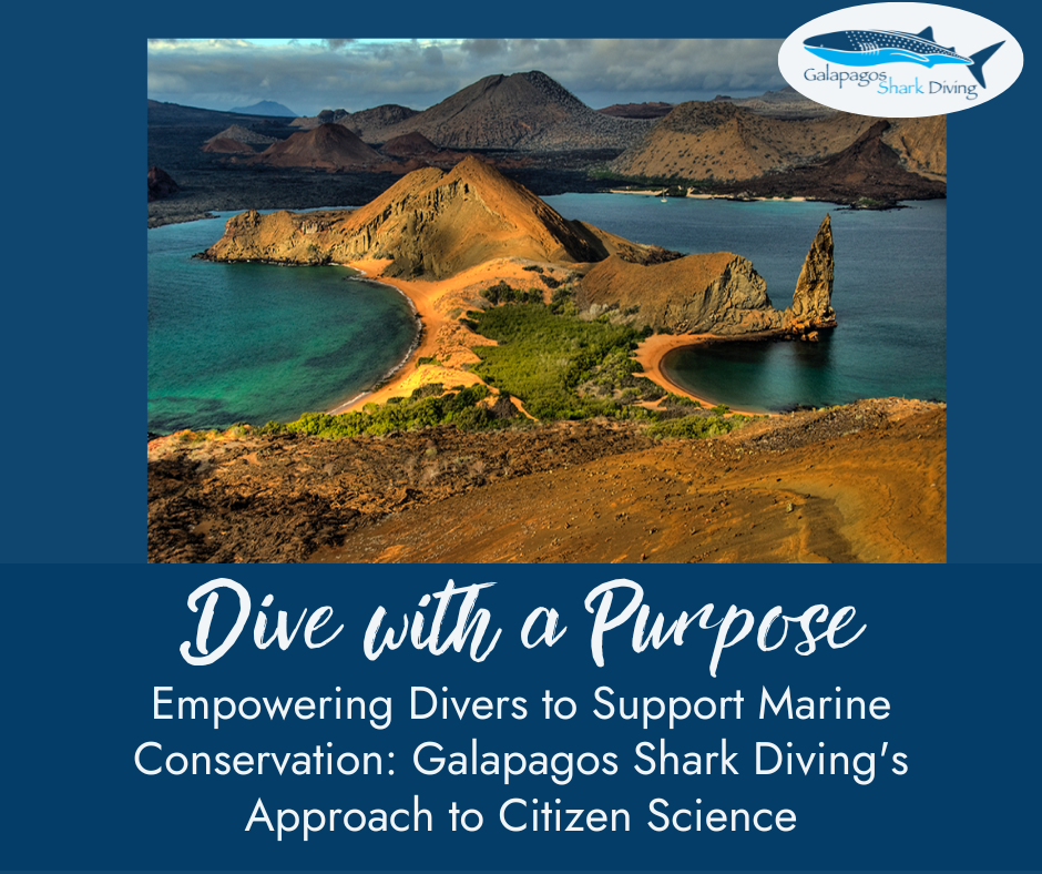 Our Approach to Citizen Science