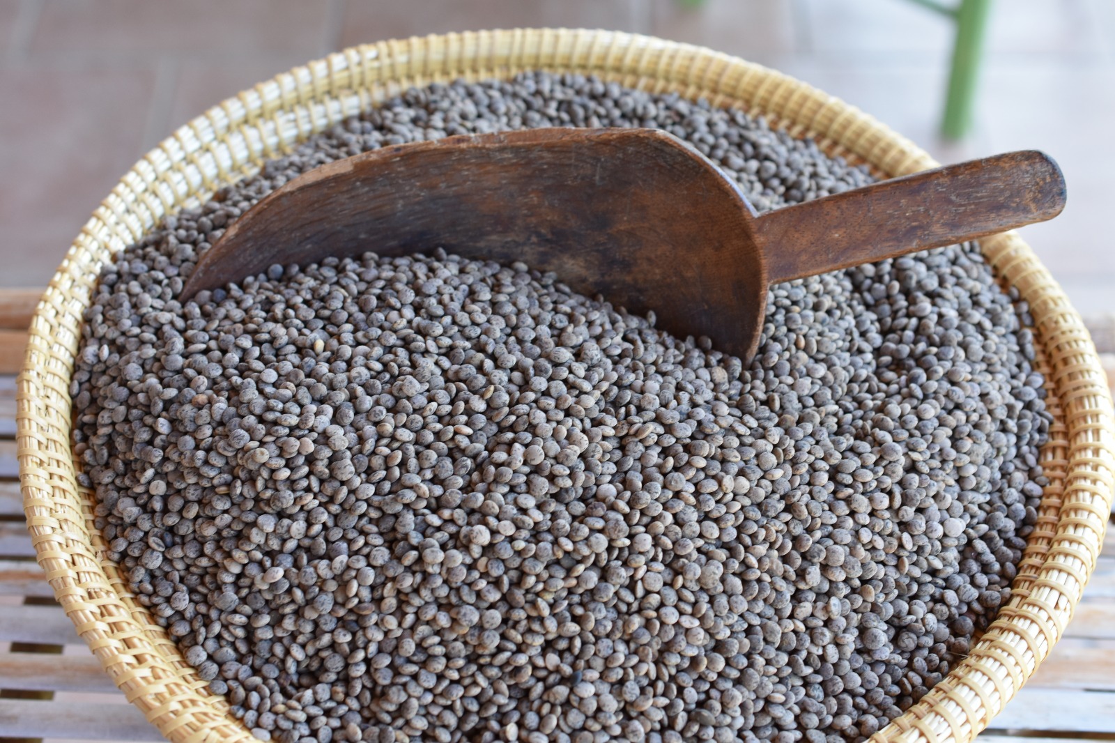 La Lenticchia Nera di Calasetta: Un Tesoro Agricolo nell'Isola di Sant'Antioco