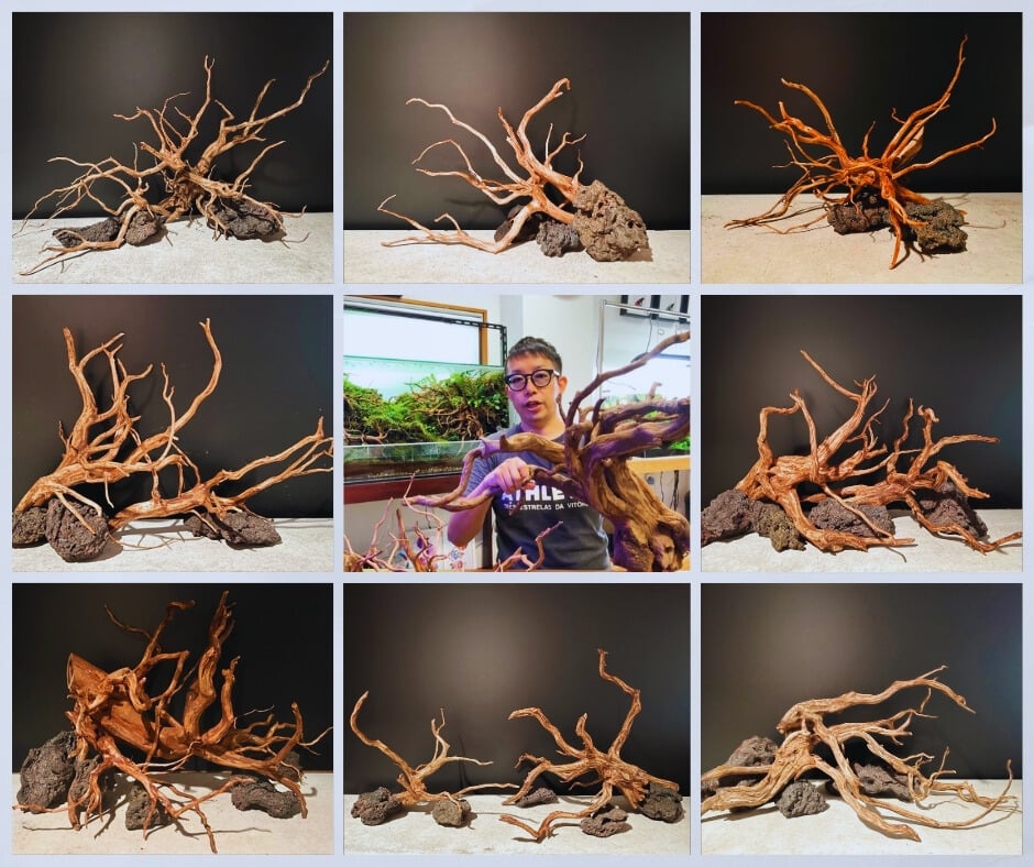 水槽素材の水槽レイアウトセットを説明