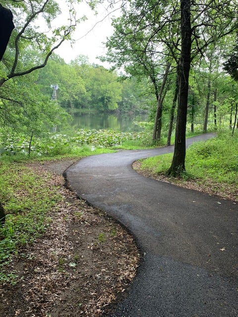 New paved trail through the Reserve
