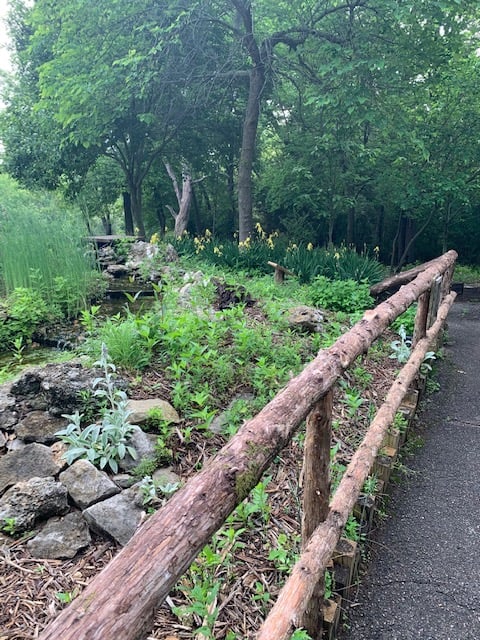 New paved trail by the Terra Lab pond exhibit
