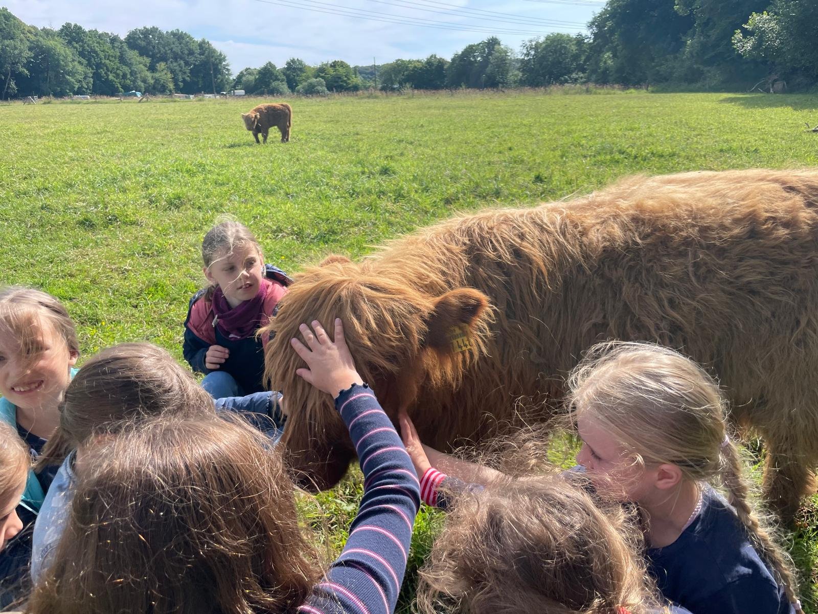 Wenn die 2b einen Ausflug macht...
