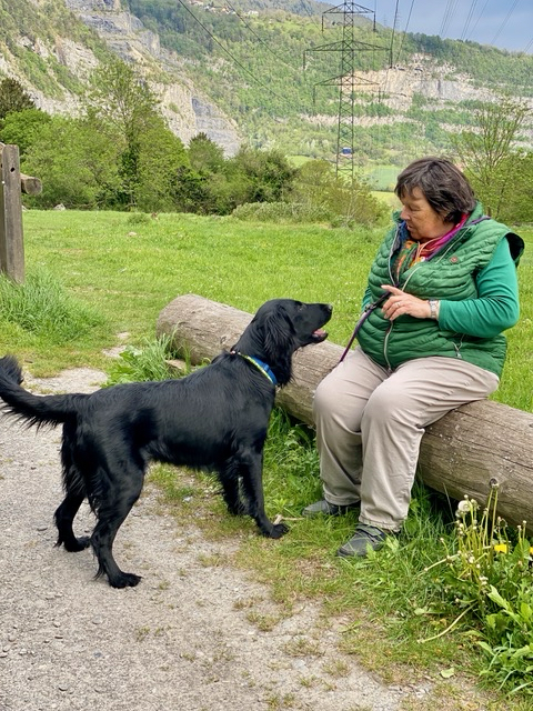 Petit pause en promenade au Bois Noir Mai 2024