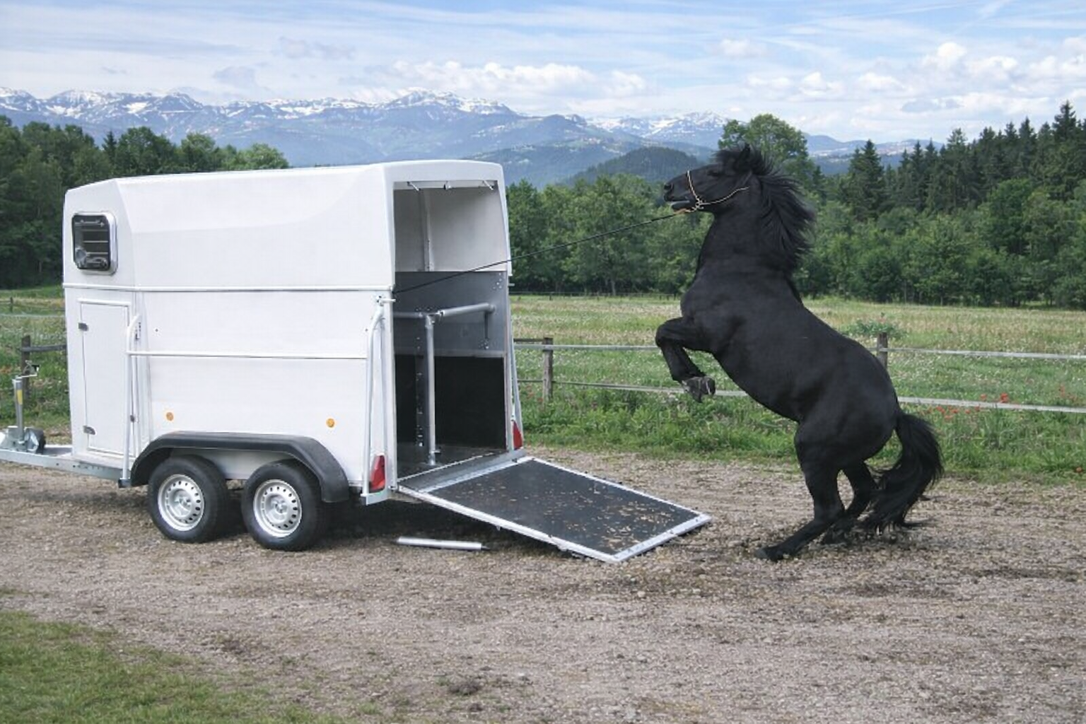 HETS News Januar 2026