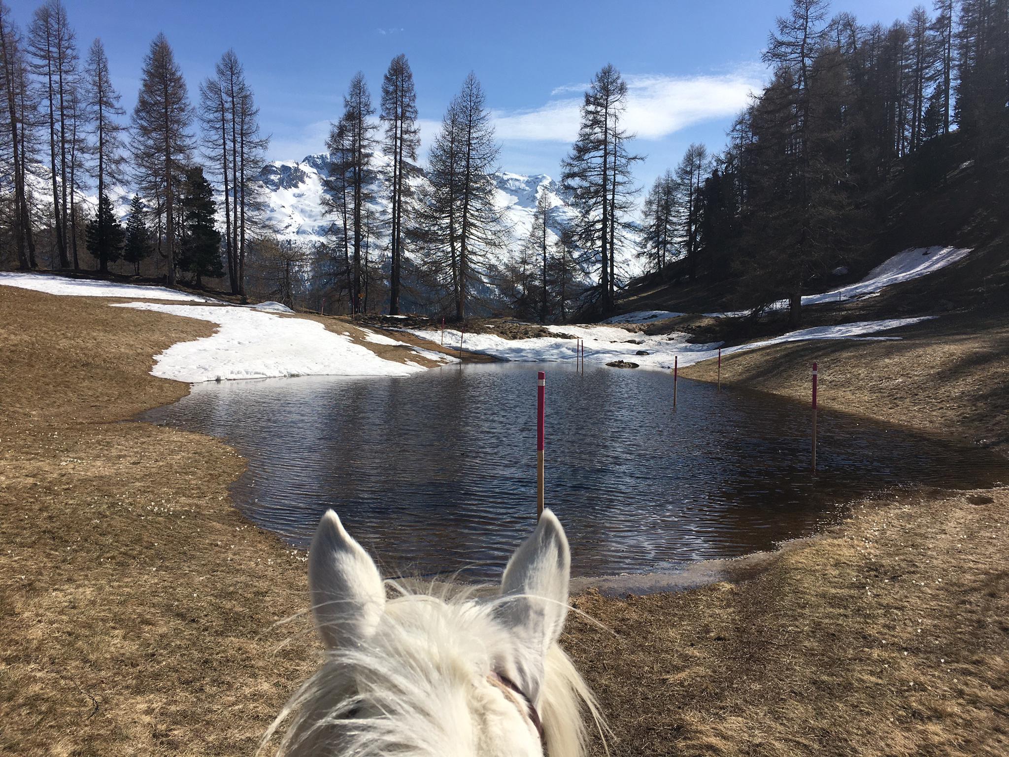 Gabi on Tour mit Elli - Frühling kommt