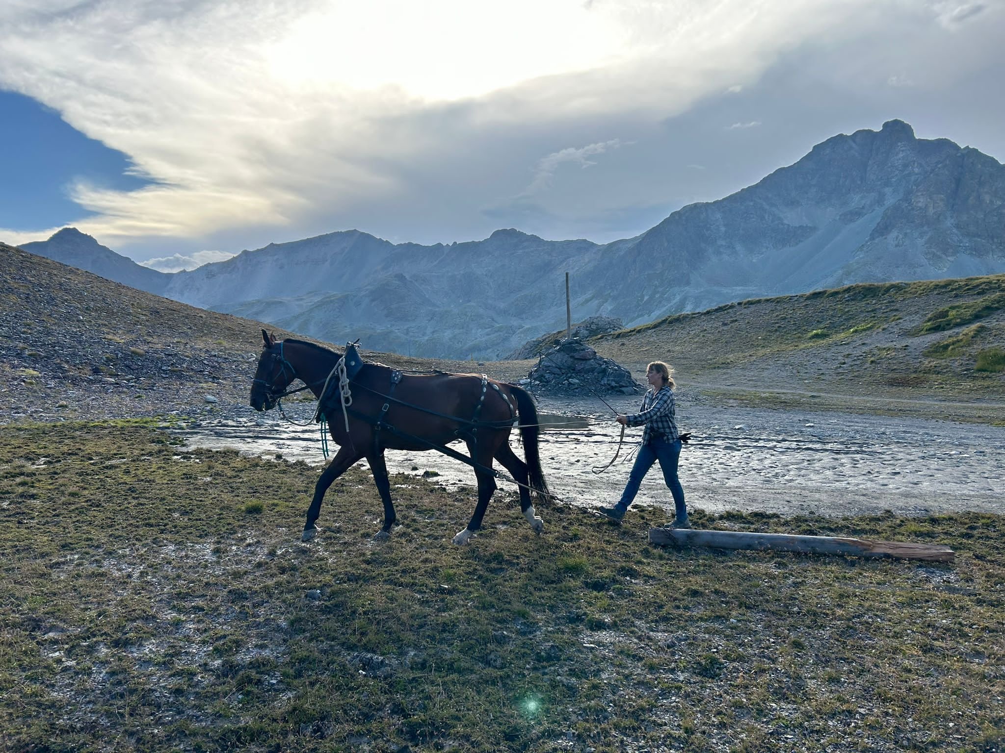 Profilinie Level 3 & 4