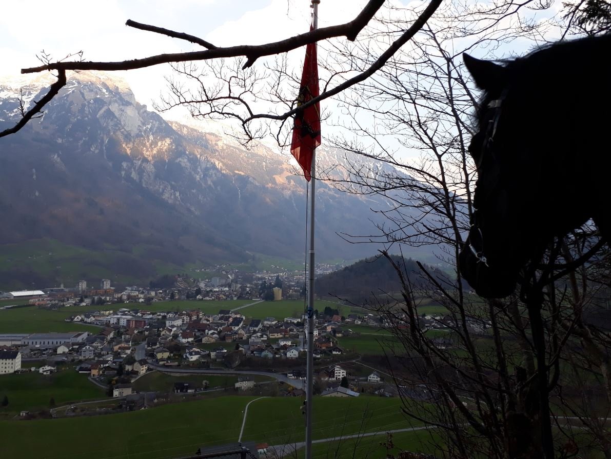 …darf Blacky auch mal auf grössere Runden, um seinen Power loszuwerden.