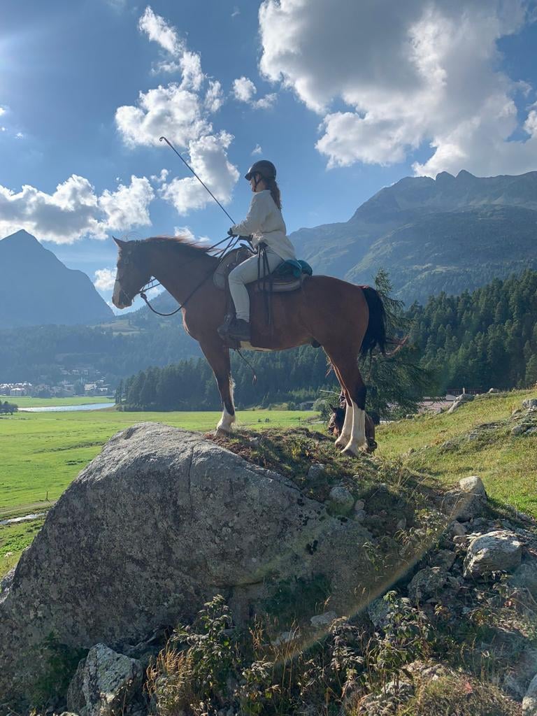 Privatunterricht Freizeitlinie