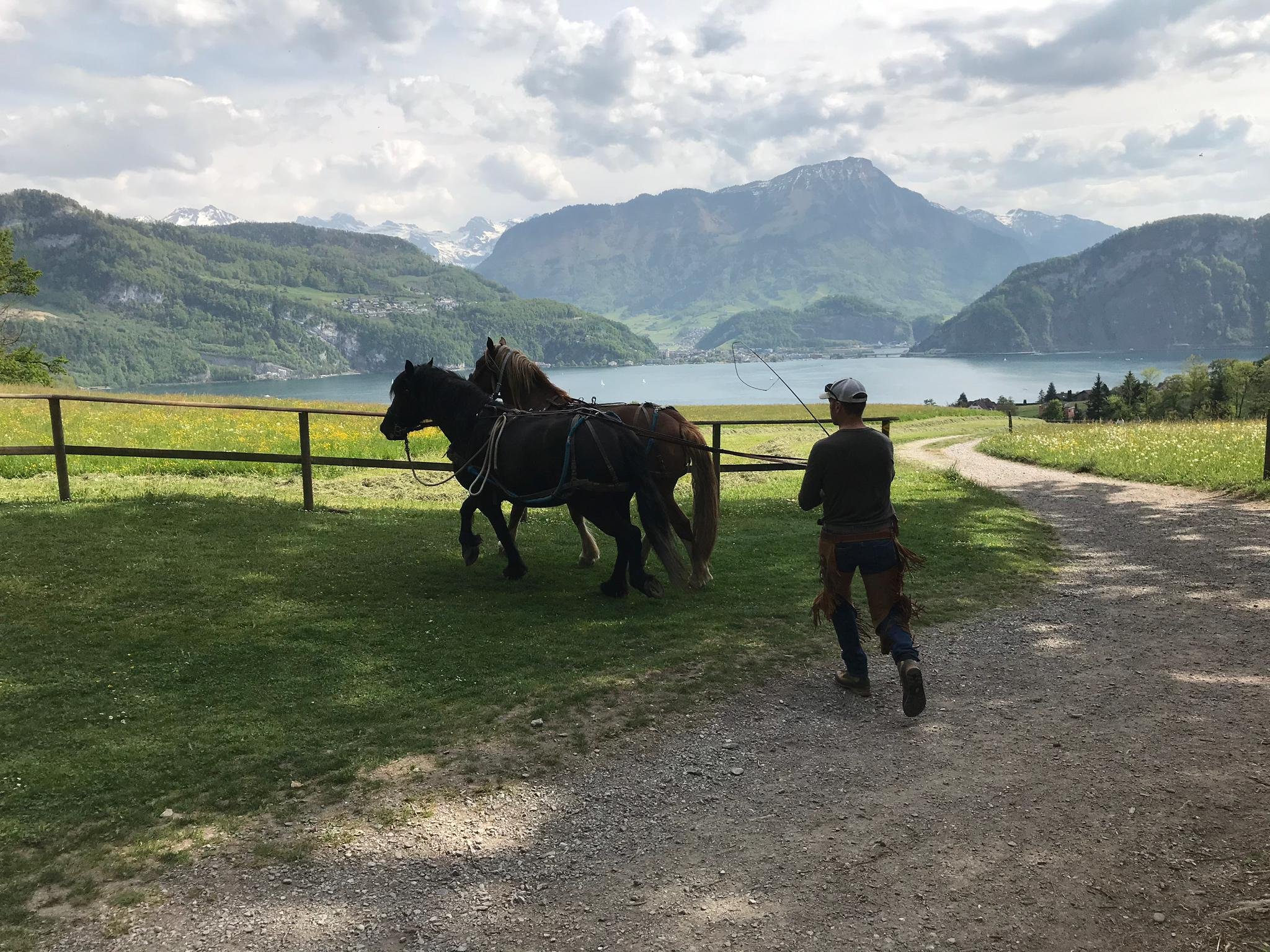 Level 3 Student Alessandro nutzt die Zeit um sein zweites Pferd einzufahren.