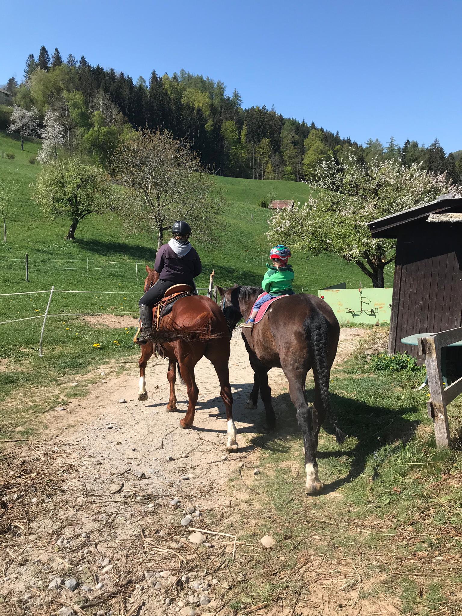 Familienausritte bis zu zwei Stunden :-)