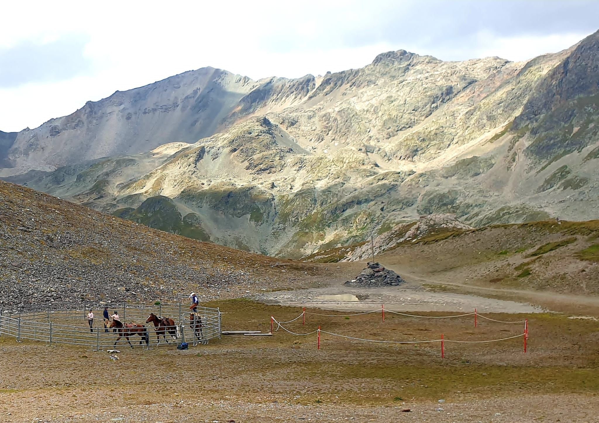 Profilinie Level 3 & 4