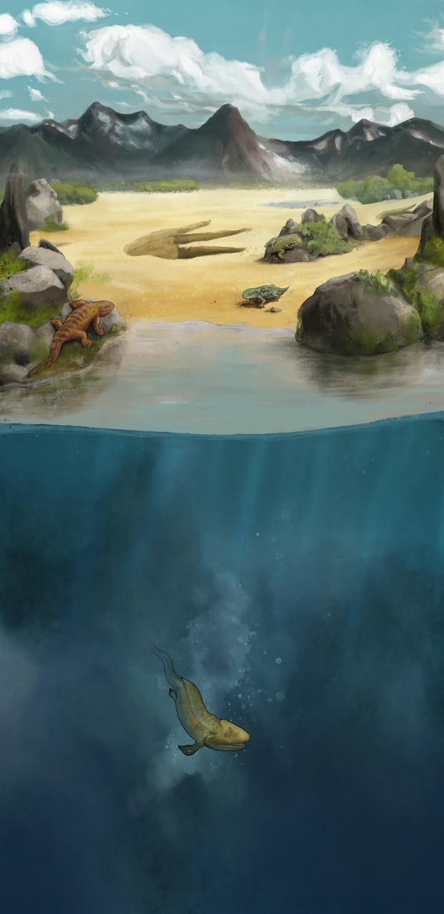 Illustration used in interactive web documentary / Frogs & Friends e.V. / Art Direction by Miiqo Studios UG  / Produced by Filmtank GmbH