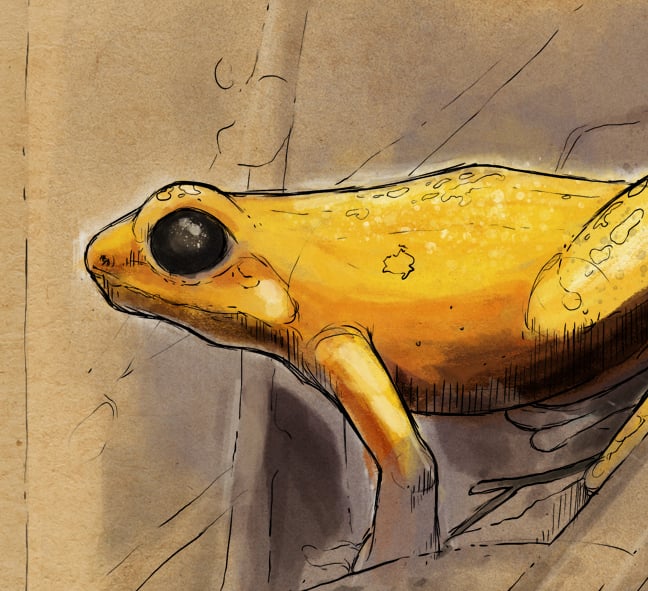 Illustration for mobile game produced by Interactive Media Foundation gGmbH / www.interactivemedia-foundation.com