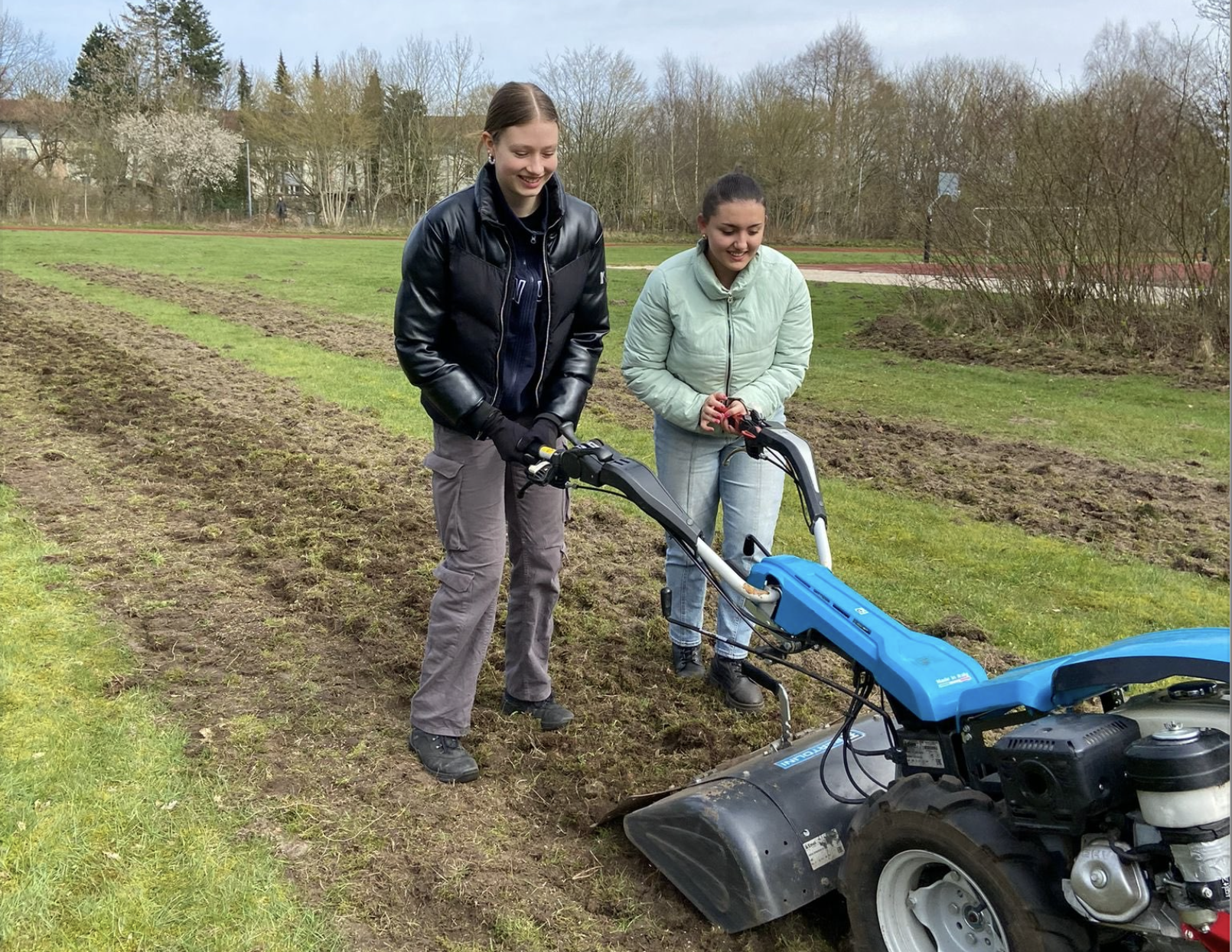 #wirsindinsektenreich