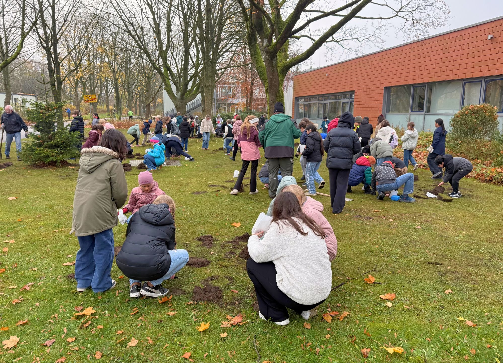 3000 Frühblüher und neue Obstbäume: Unsere fünf 5. Klassen haben das Schulgelände für Insekten und als Blickfang bepflanzt. Danke an alle Helfer und Spender für die großartige Unterstützung.