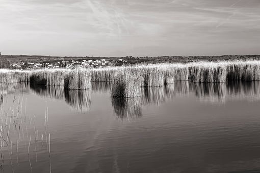 Am Neusiedler See, Burgenland