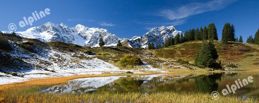 Der Körbersee gegen Braunarlspitze im Lechquellengebirge am Hochtannberg im Bregenzer Wald, Vorarlberg