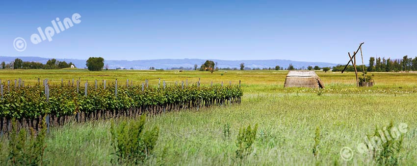 Ziehbrunnen am Neusiedler See