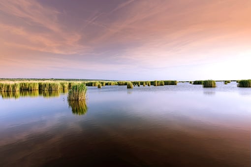 Am Neusiedler See, Burgenland