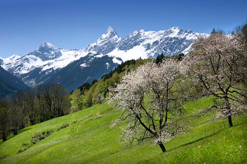 Österreich, Vorarlberg, Montafon. Blick vom Bartholomäberg auf die Zimba