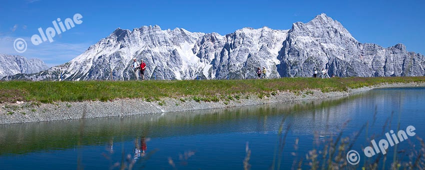 Am Asitzkogel gegen Leoganger Steinberge, Pinzgau, Salzburger Land (schwarzweiss)