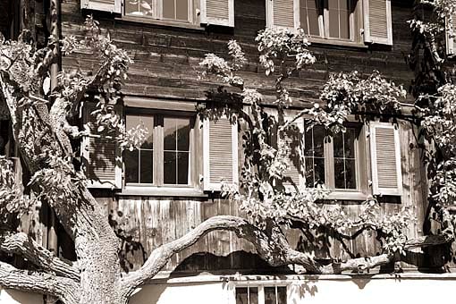Österreich, Vorarlberg, Montafon. Montafoner Bauernhof in St. Gallenkirchen