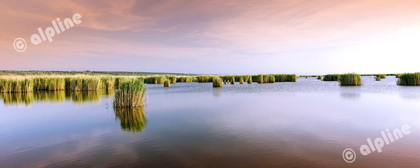 Am Neusiedler See, Burgenland
