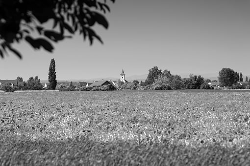Austria, Österreich, Burgenland: Podersdorf am Neusiedler See