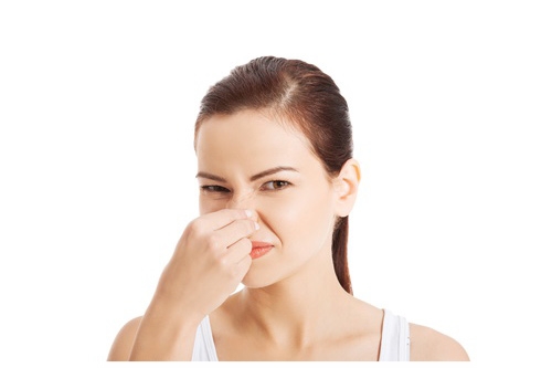 Schimmel entfernen im Auto Mainz, Wiesbaden