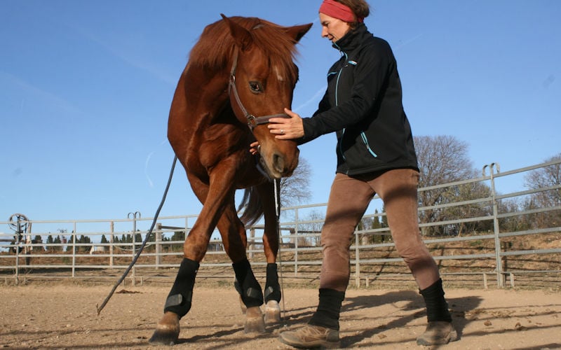 La puesta en mano empieza en el suelo