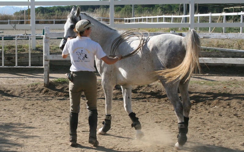 Empezar desde el principio para llegar a la meta