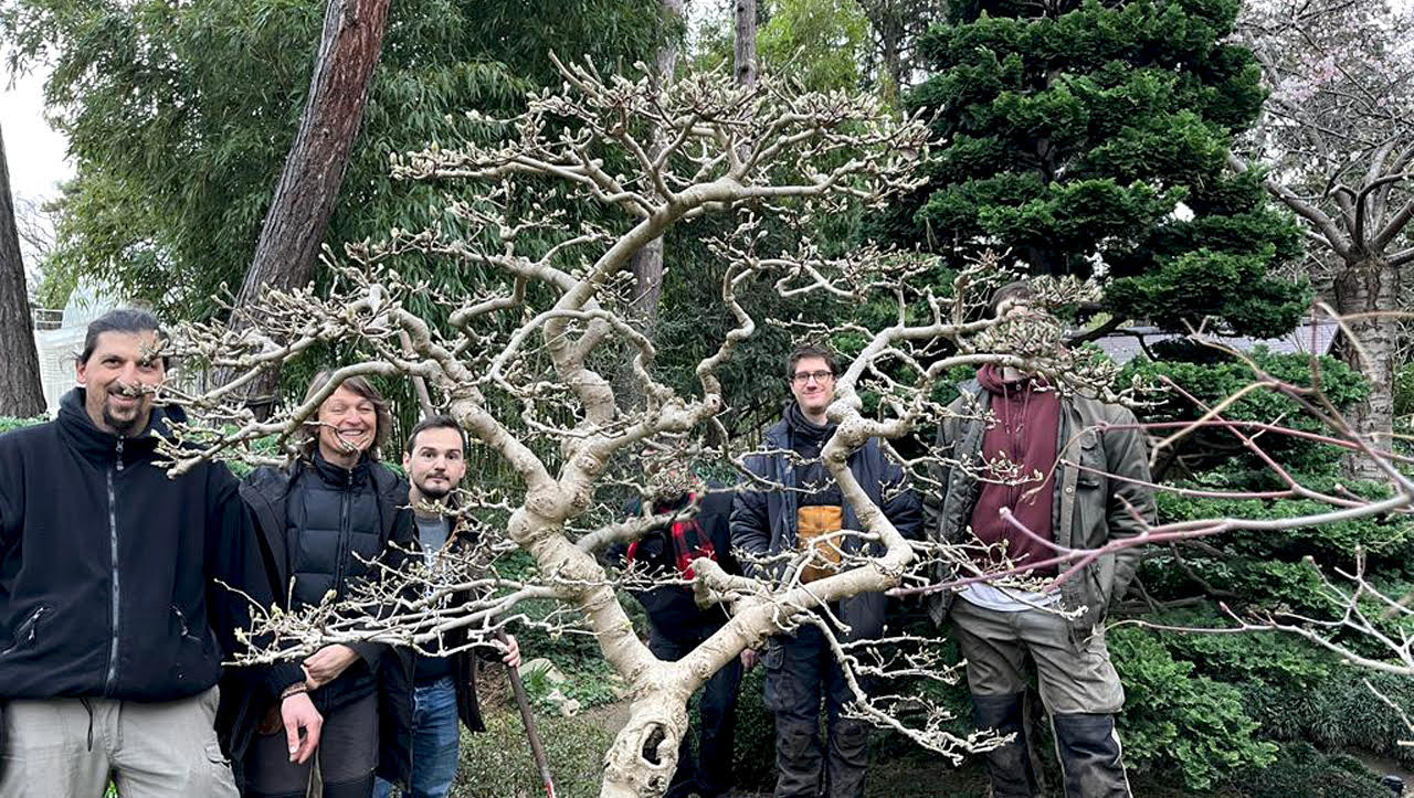 Cycle formation - atelier - conférence France & Suisse