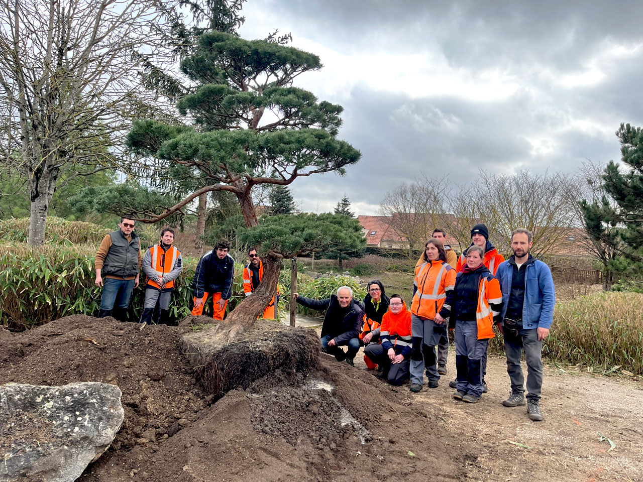 Formation Taille Japonaise pour les jardiniers de la ville de Dijon