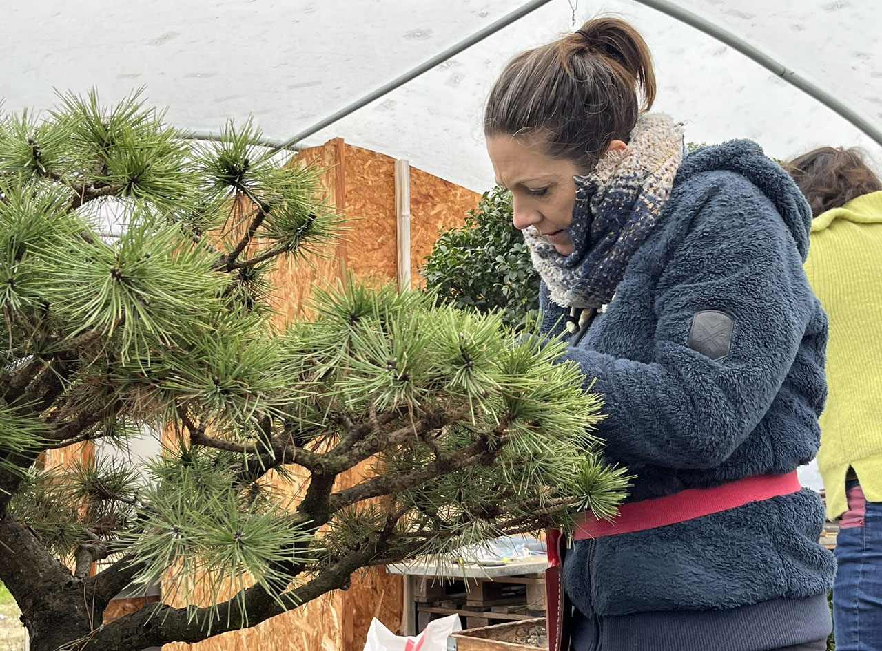Atelier du 17 Février