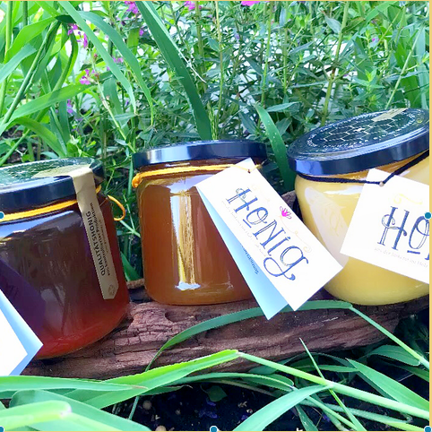 Honig 