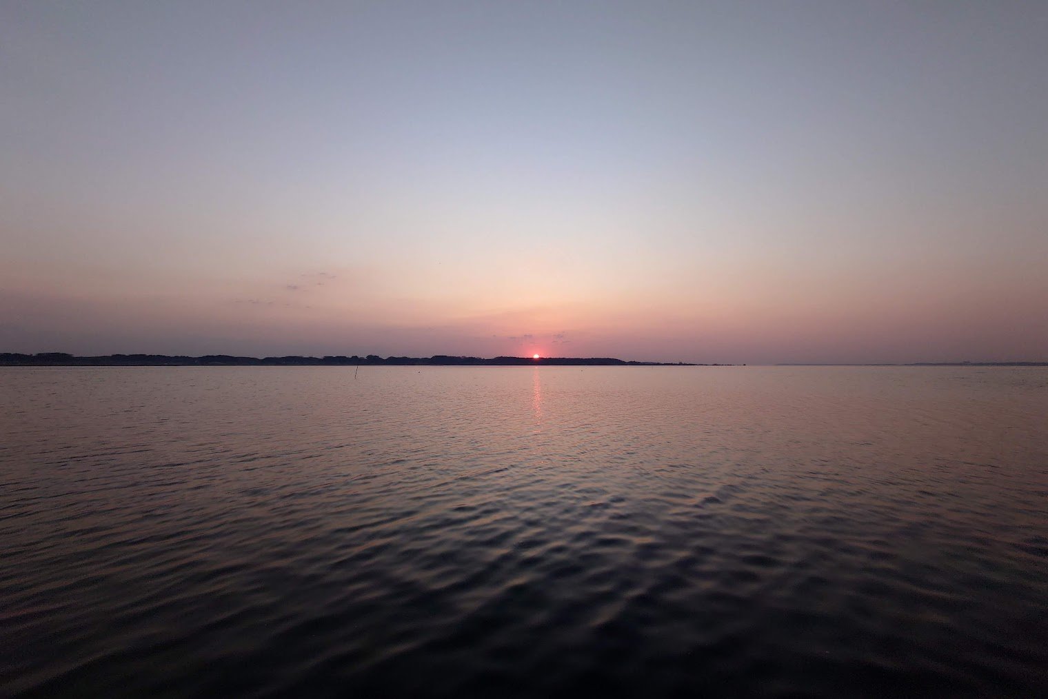 2025ブログ再開します