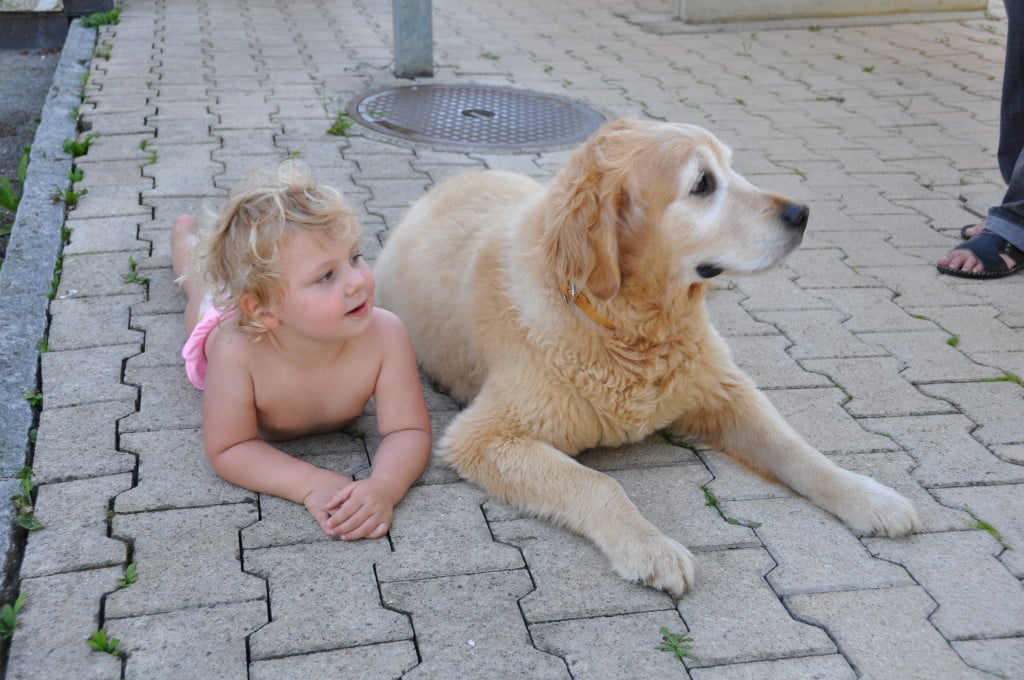 Dr Vasco, ä megal iebe Hund