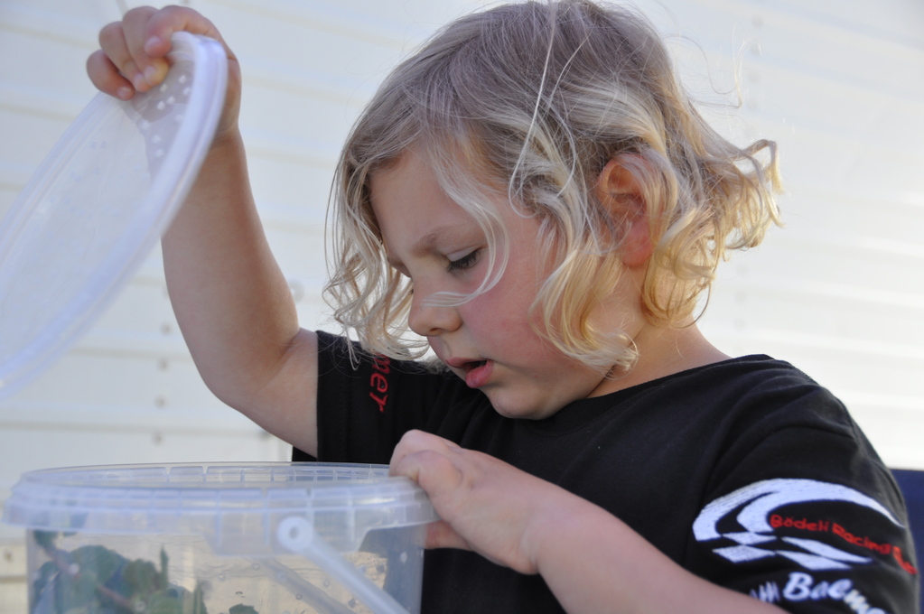 z hustier het ou mit müesse (lilly dr schnägg)