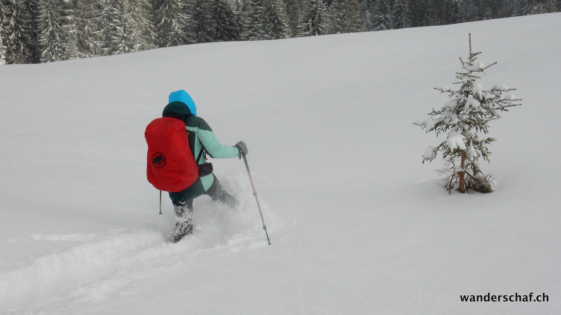 wunderbarer Pulverschnee